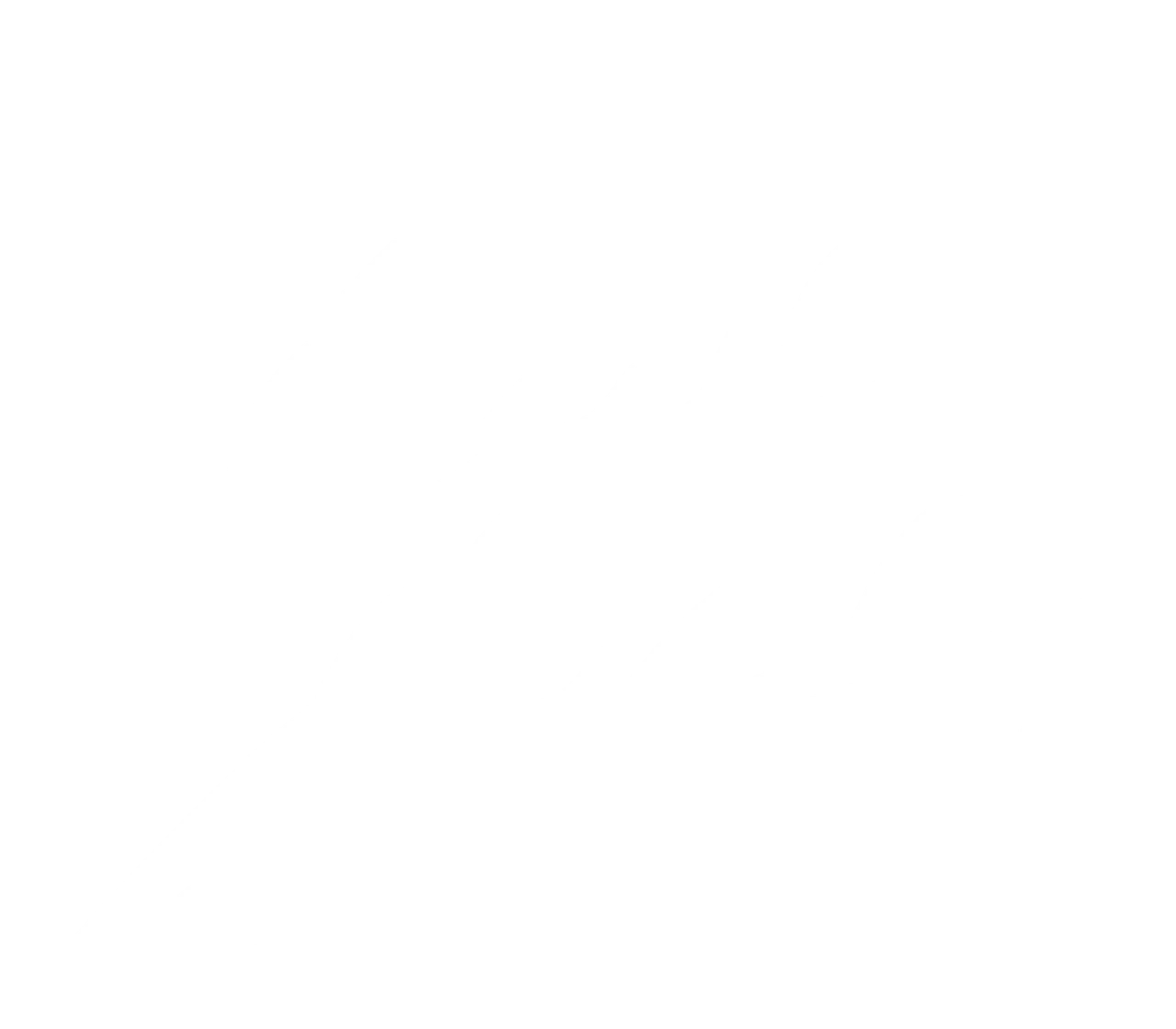 حسن عصام