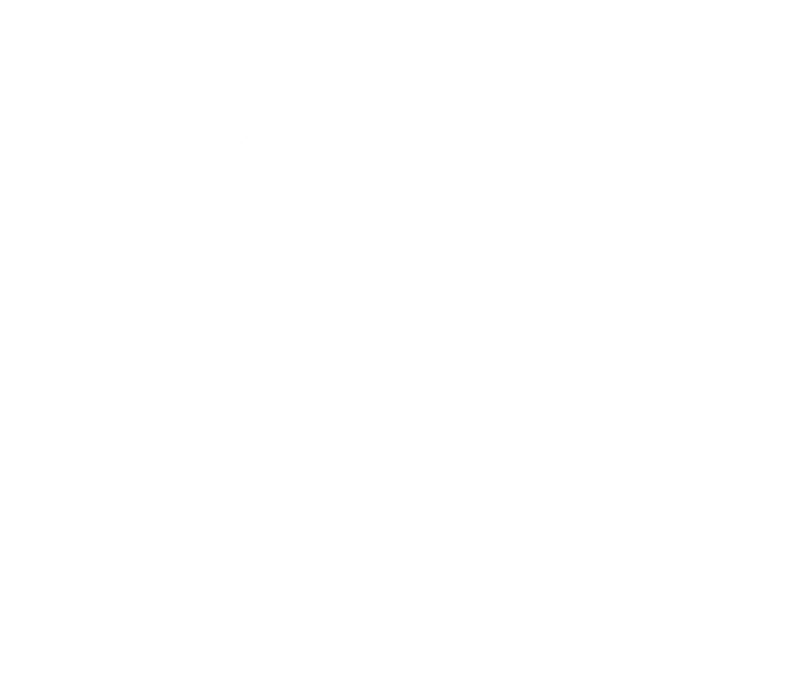حسن عصام